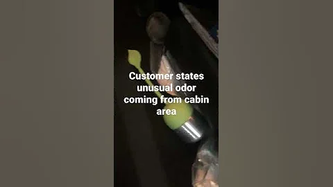 Buttplug Toyota Mechanic 