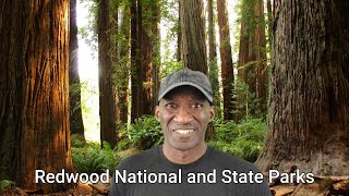 Redwood National and State Parks