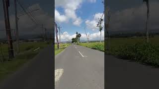 A Scenic Journey from Cilacap to Gombong | Beautiful Countryside Views in Central Java