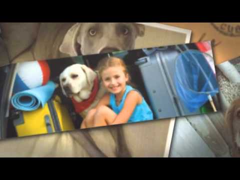 my spoiled pet resort and spa