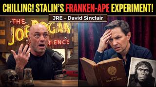 Joe Rogan Experience - David Sinclair | Chilling: Stalin's human-ape hybrid experiment!