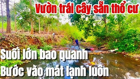 Bước vào mê luôn! Vườn trái cây, sẵn thổ cư, viêw suối lớn không khí mát mẻ trong lành. Ở BRVT