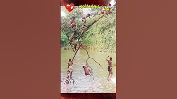Thumbnail of Friendship day status | friendship day songs | Happy friendship day 2025 #status #love #songs