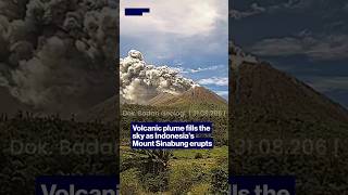 Volcanic plume fills the sky as Indonesia’s Mount Sinabung erupts #shorts