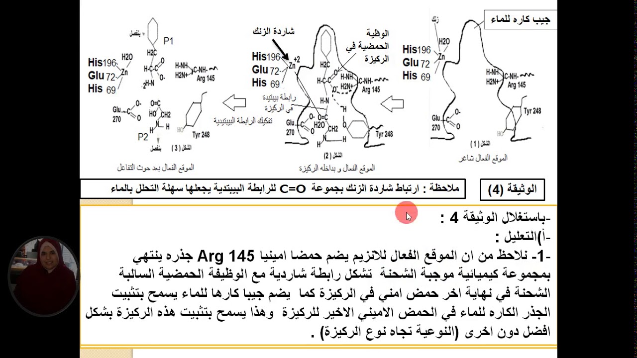 علوم طبيعية العرض 10من التحفيز الانزيمي