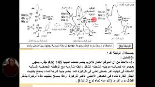علوم طبيعية العرض 10من التحفيز الانزيمي