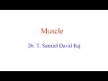 Types of muscles by dr t samuel david raj