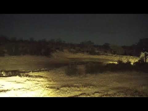 camera iphone 8 plus apk Djuma Private Game Reserve Live Stream