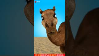 El escándalo de los camellos trucados 🐪💉