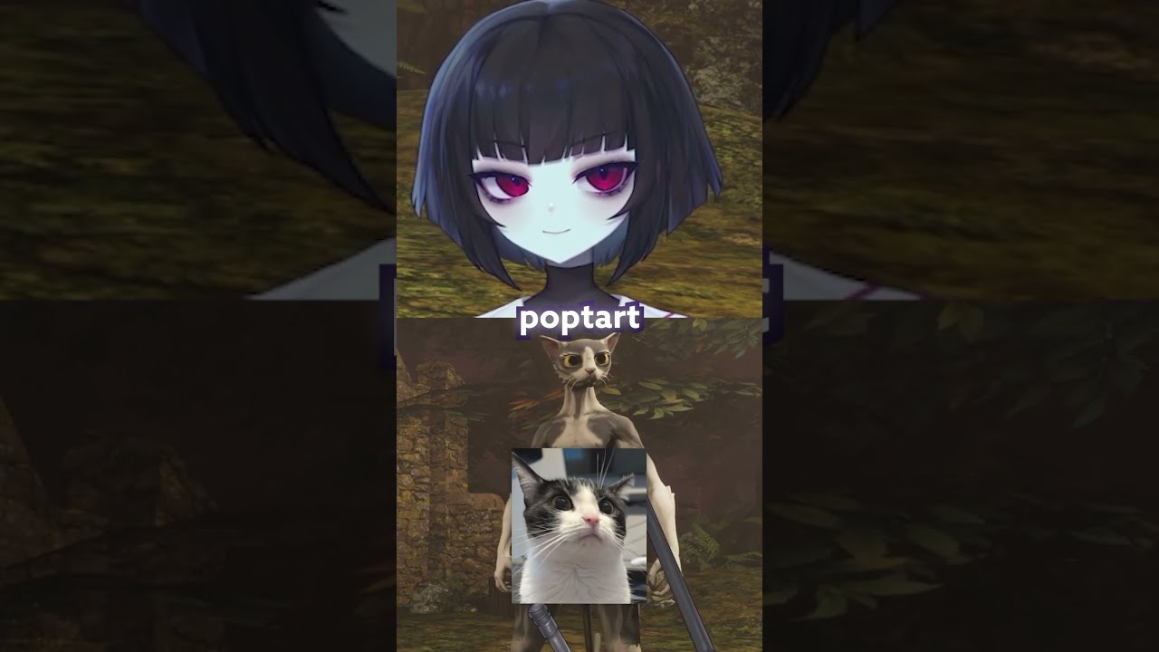 i made poptart