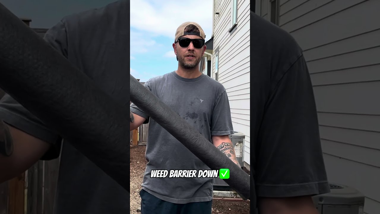 Turf Putting Green Install Quick Update Shorts Diy Golf