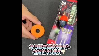 きんとき まとめ売り NF電気ウキセット ドングリウキタイプ - ウキのキザクラ