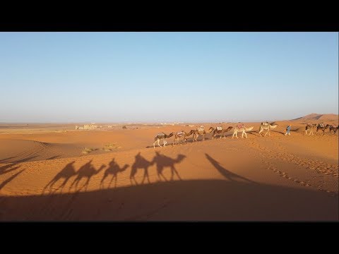 Video: Berselancar Di Sahara - Matador Network