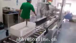 Milk robotic parallel applications ,pick & place, case packer packaging