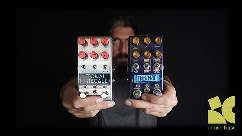 CHASE BLISS AUDIO: - THERMAE & TONAL RECALL -  ANALOG DELAY COMPARISON - Alfonso Corace - NO TALKING