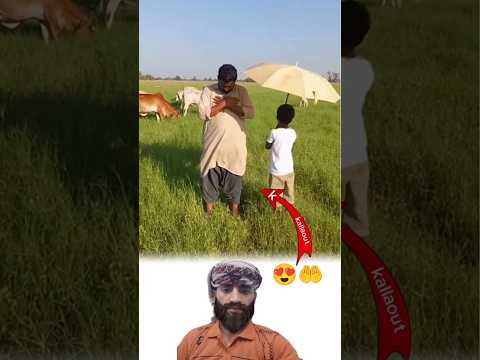 براءة صغيرة تحمي قلب ا كبير ا طفل يظلل والده بالمظلة أثناء الصلاة 