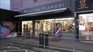 Penelope Flowers Christmas Decorations Kings Sq E Belfast 10 Nov 2022
