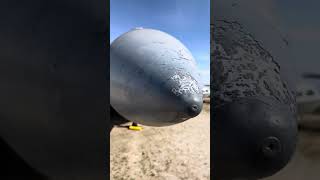 The Fighter Jets go in order by their numbers | March ARB / AFB | #shorts #airshow