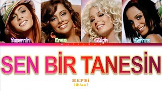 HEPSİ - Sen Bir Tanesin (Winx Club) "Renk Kodlu Şarkı Sözü"