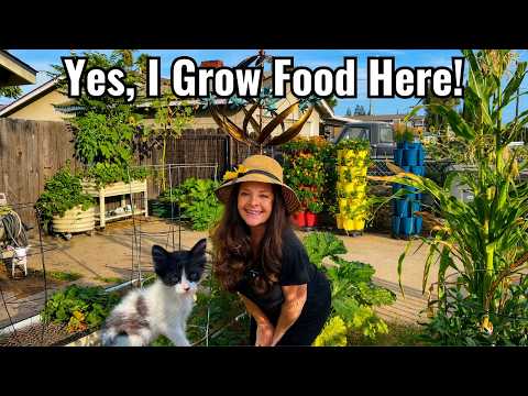 Driveway Garden Tour + Meet My New Kitten! 😃