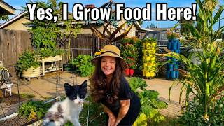 Driveway Garden Tour + Meet My New Kitten! 😃