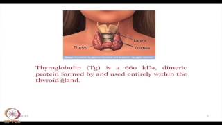 Mod-39 Lec-39 Non - metals in Biology - III