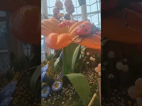 nice at siam paragon mall #bangkok #shortsfeeds #viral #youtube