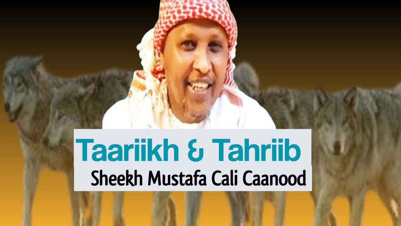 Taariikh & Tahriib | Sh. Mustafa Cali Caanood