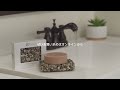 Stone Soap Plate