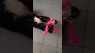 IMG 5323