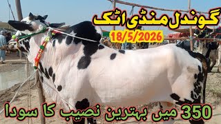 TODAY GONDAL MANDI ATTACK UPDATE.18/5/2026.FATEH JANGI, Bhatta Chok,Jafar Mandi, Mandi latest update