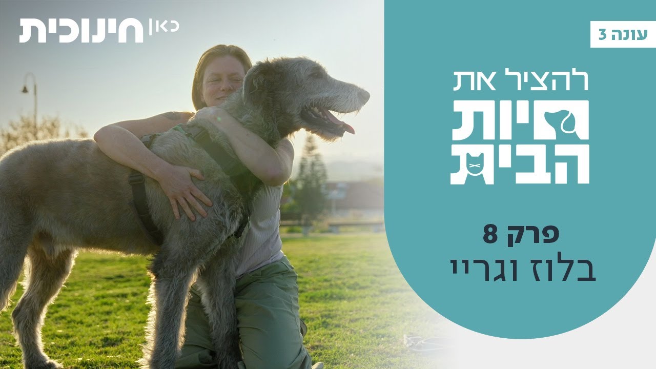 להציל את חיות הבית 3 🐶 | פרק 8 - בלוז וגריי