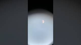 ufo what does it look like? 2   IMG 4524