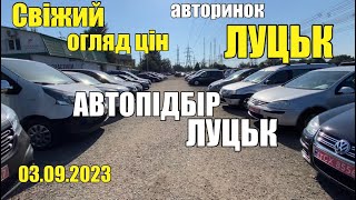 Свіжий огляд цін на автобазарі ЛУЦЬК | АВТОПІДБІР ЛУЦЬК | ціни на авто 3.09.2023 #автопідбір