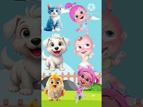 لولو وسوسو وميدو بيختاروا الحيوانات لولو رسوم متحركة Cartoon حواديت ابلة طماطم