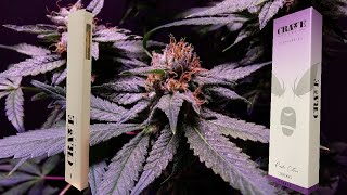 CraveMeds Disposable - Purple Citrus - Hybrid