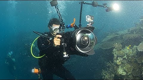 Chasing Coral – Meet the Director – SFF 17