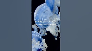 آيات القرآن الكريم بصوت هادئ و شجي يزرع السكينة و الطمأنينة #ياسر_الدوسري #فارس_عباد