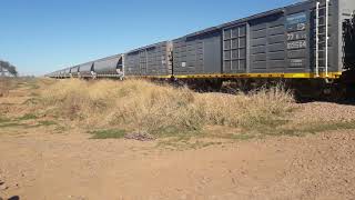 Super tren Tostado Argentina