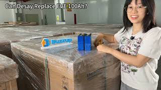Desay 100Ah Can It Replace Eve 100Ah? Full Test Comparison