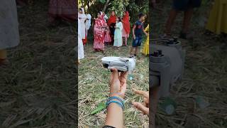 Dji mini 2 drone camera #reels #drone #dji #mini2 #viral #shorts #minicamera #dronecamera