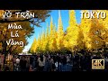Tokyo vỡ trận mùa lá vàng 【Meiji Jingu Gaien Ginkgo Avenue】| Du lịch Nhật Bản #explorejapan #travel