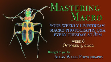 Mastering Macro Photography - Week 9 - 10/11/22