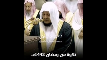 قرآن كريم بصوت صلاح باعثمان || حالات واتس اب دينية