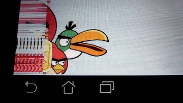 Transformer Prime Video Glitch