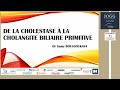 De la Cholestase à la Cholangite biliaire primitive -  JOGG 2024