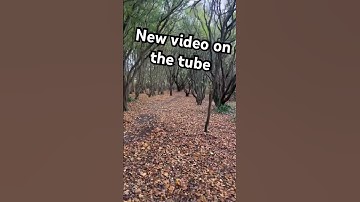 New video on the tube #youtubeshorts #tms #funny #viral video l