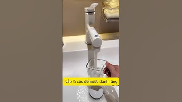 Hộp để tuýp bàn chải kem đánh răng tiện lợi du lịch , về quê