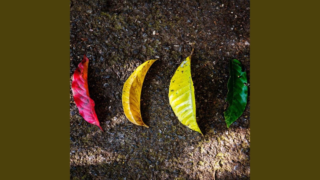 Meno male che ce il mare