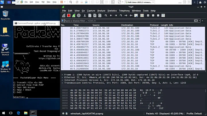 Exfiltration DNS PacketWhisper